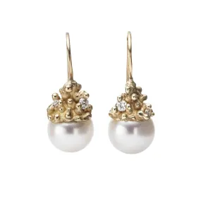 Pearl Encrusted Drop Earrings - Ruth Tomlinson