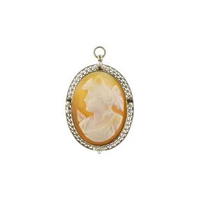 Victorian Pearl and Shell Cameo Pin & Pendant